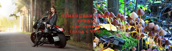 скорость Нягань